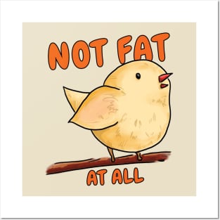 Not fat at all cute bird Posters and Art